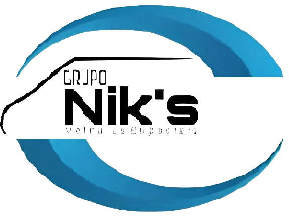 grupo_niks-removebg-preview